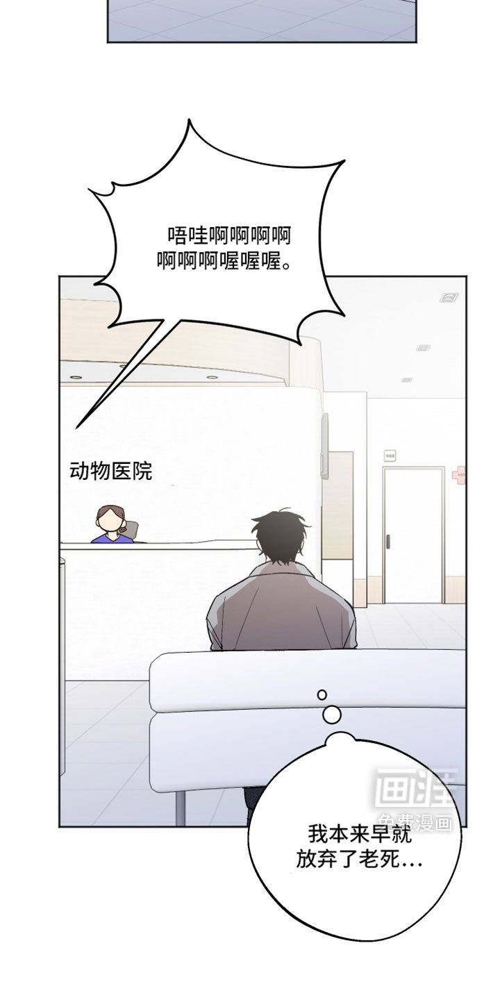 第70话 第11页