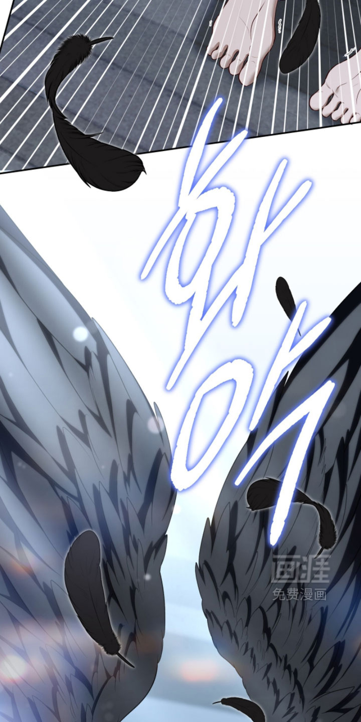 第170话12