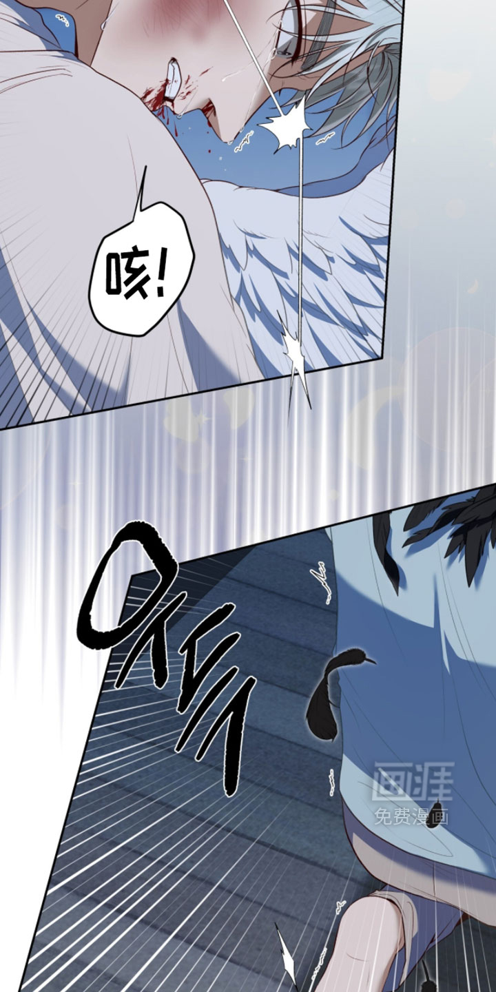 第170话11