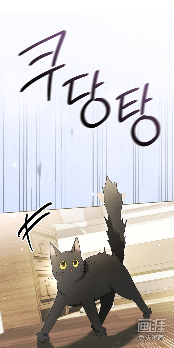 第54话0