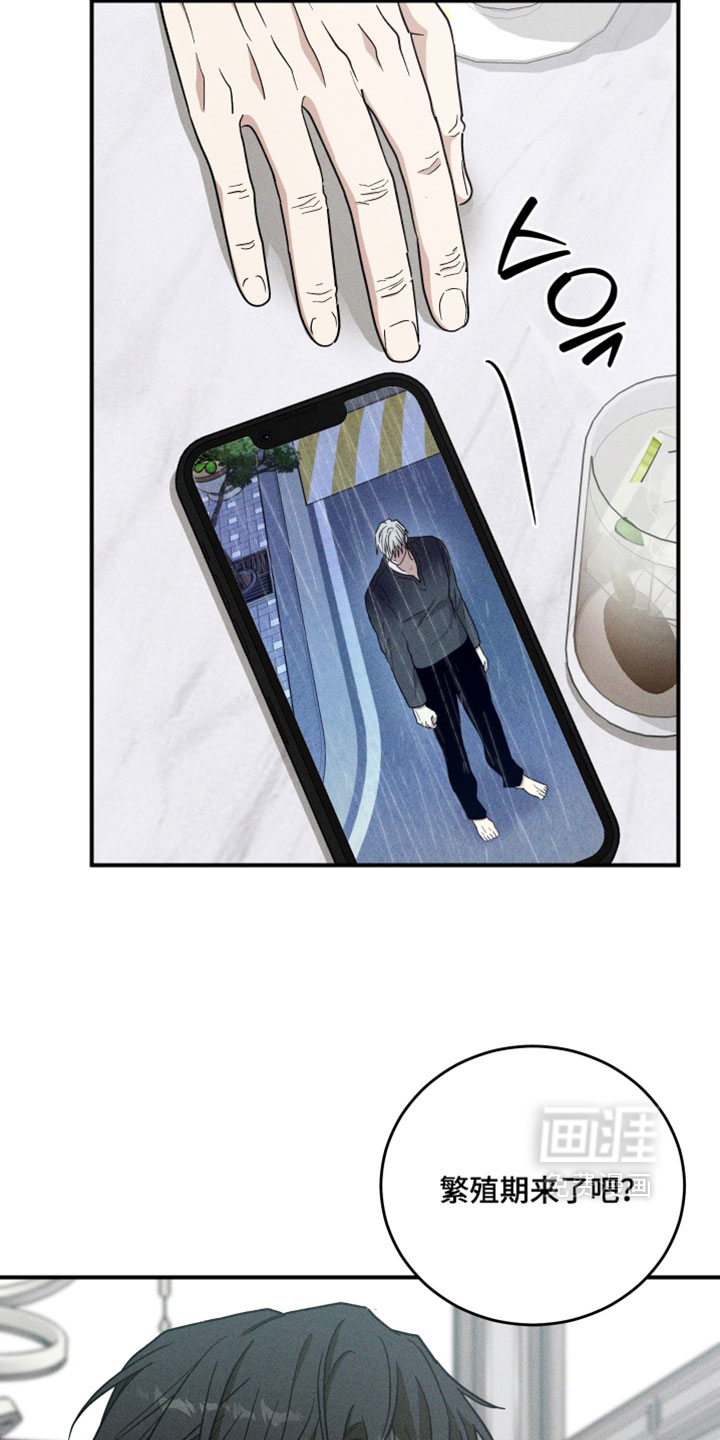 第38话 第11页