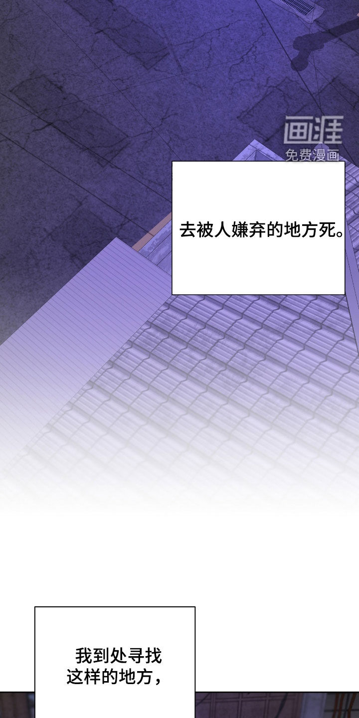 第43话24