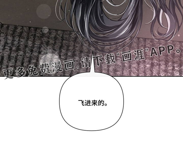 第110话29