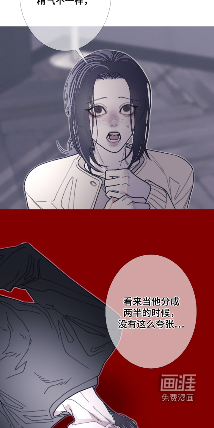 第229话24