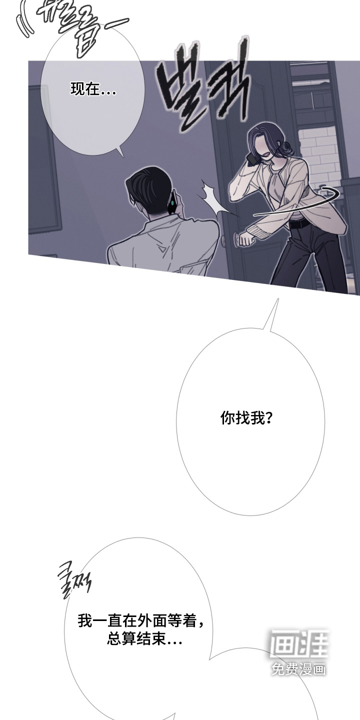第228话17