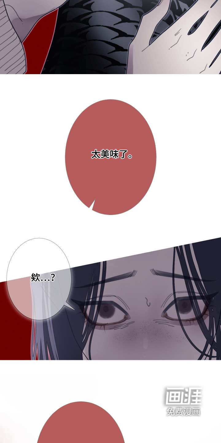第228话24