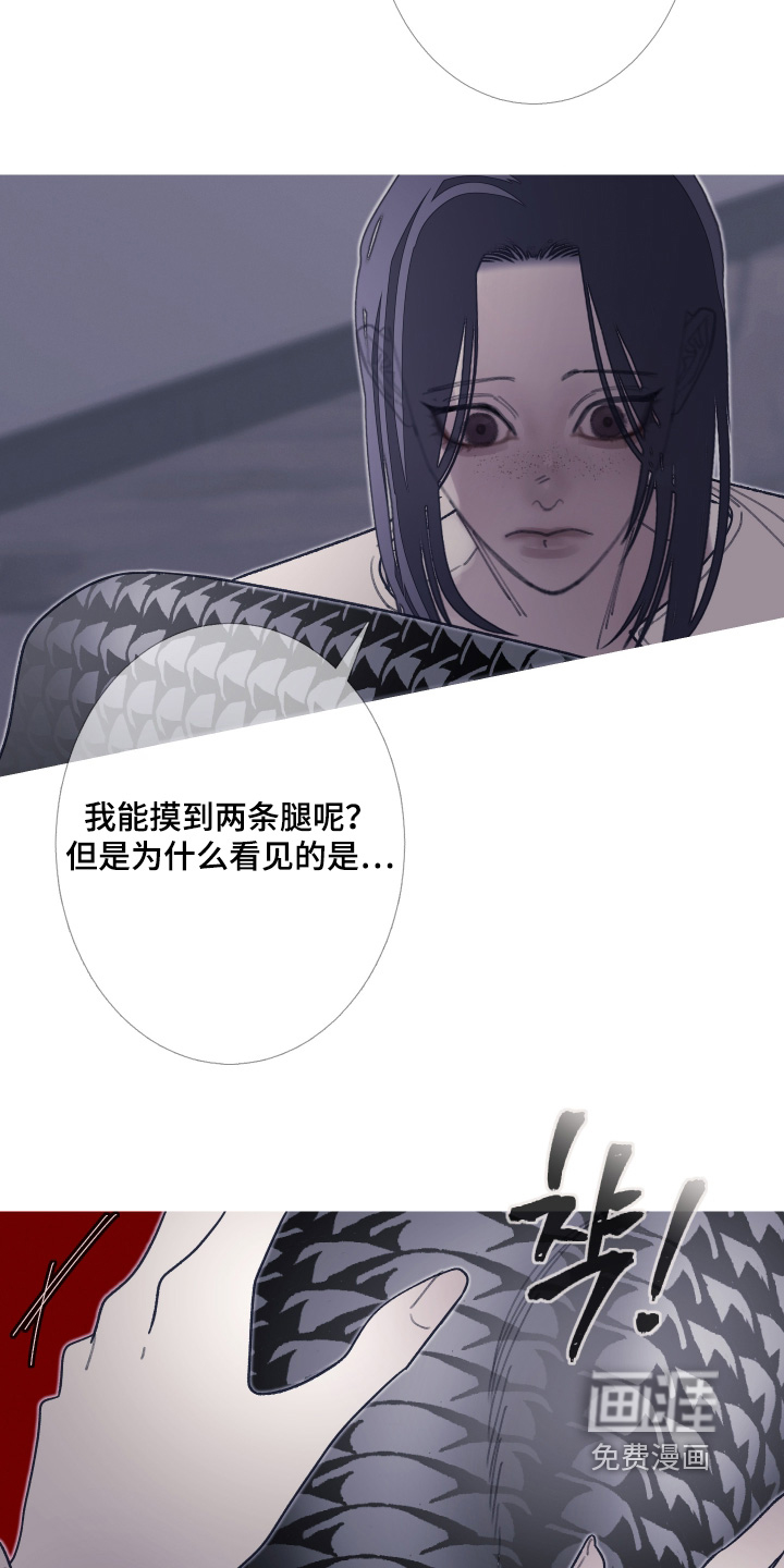 第228话23