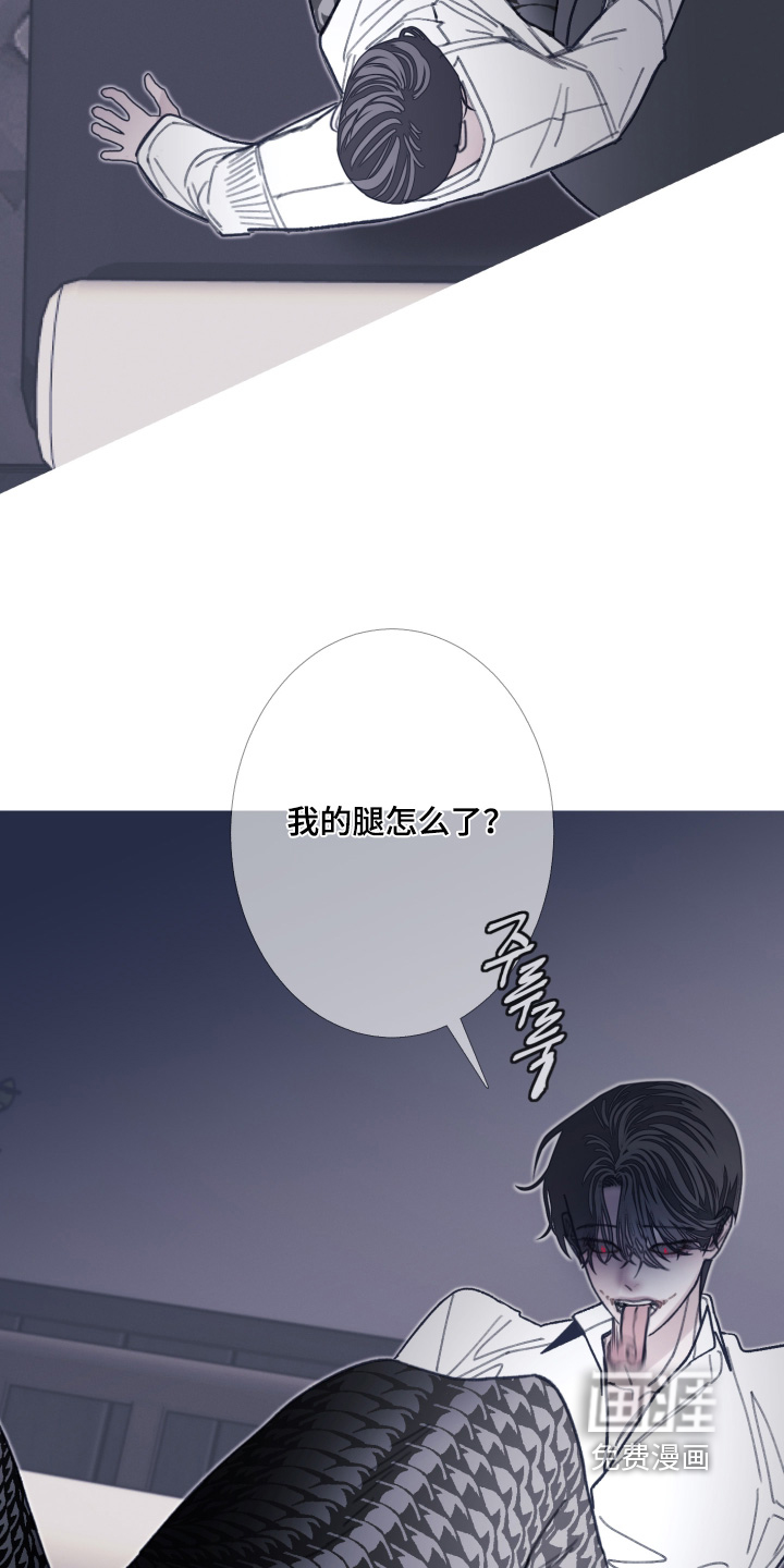 第228话13
