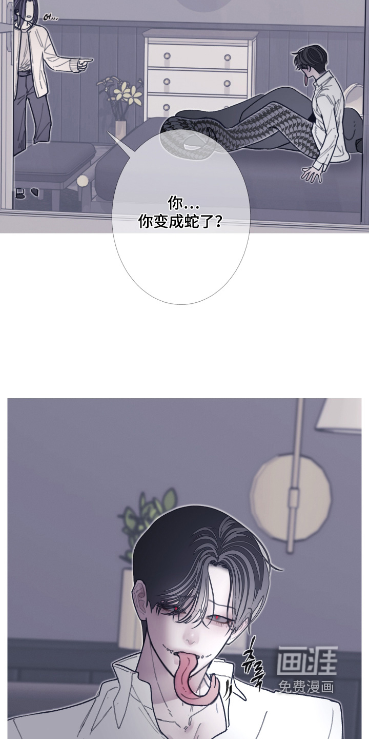 第228话19