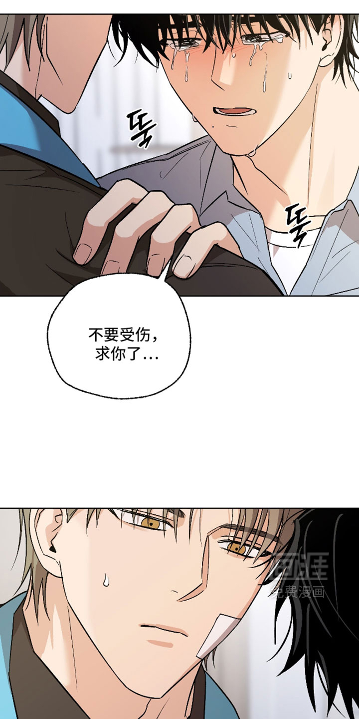 第75话 第31页