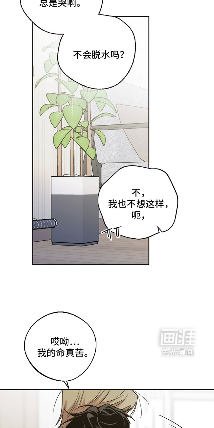 第75话 第27页