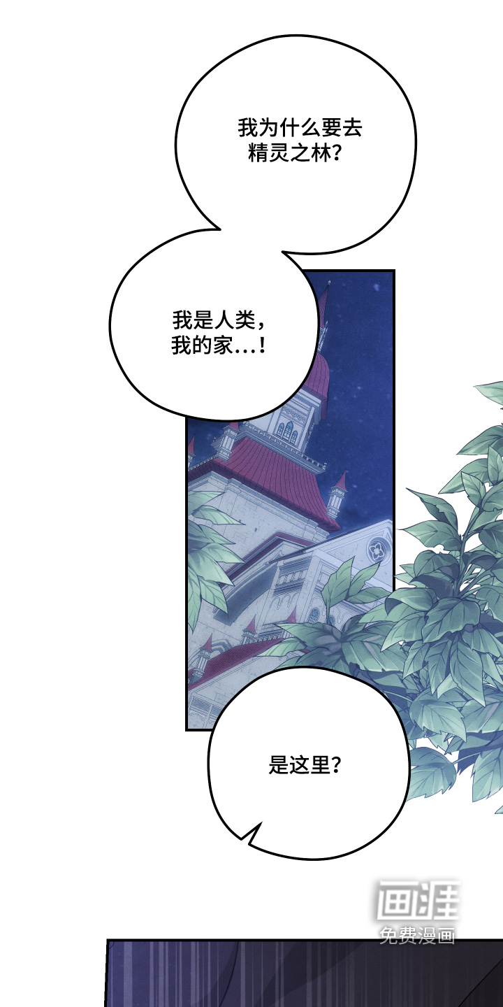 第42话 第5页