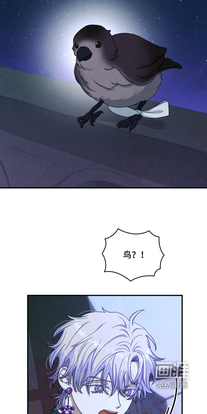 第41话 第4页