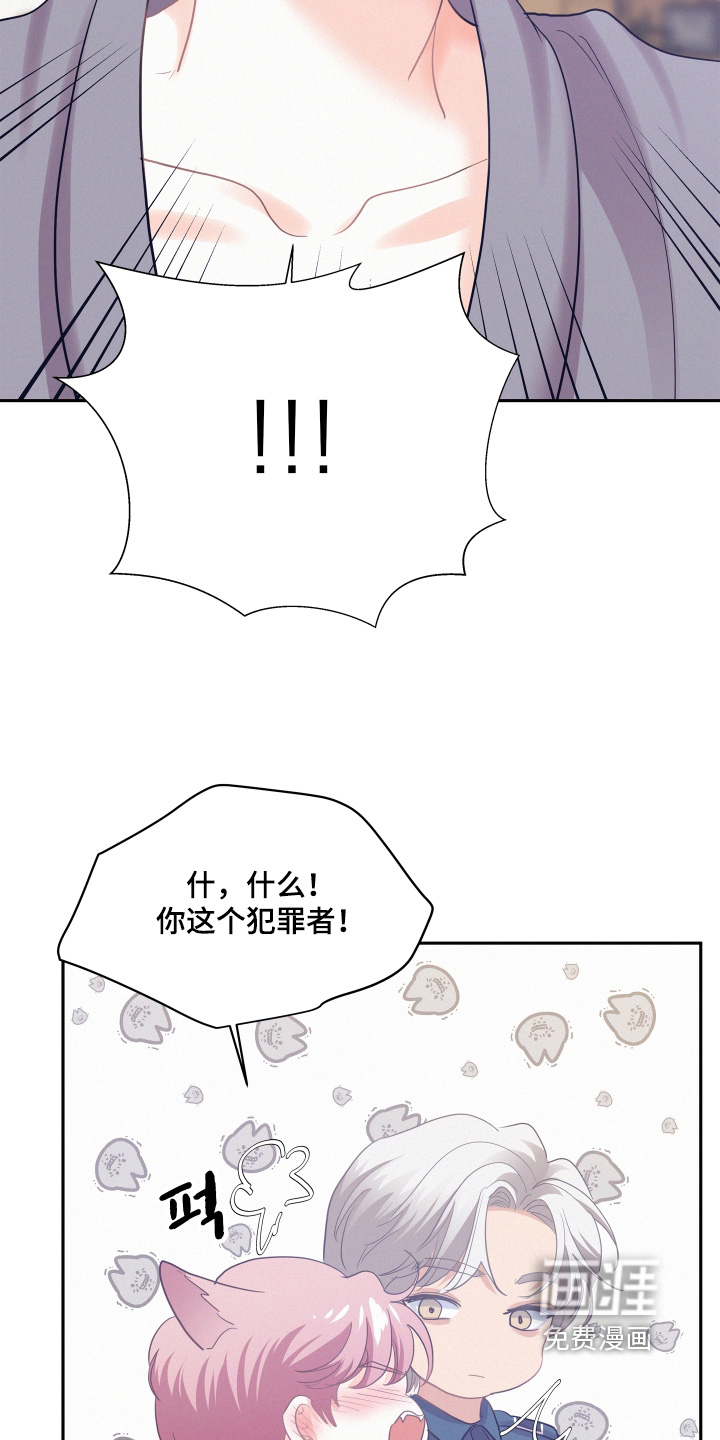第208话11