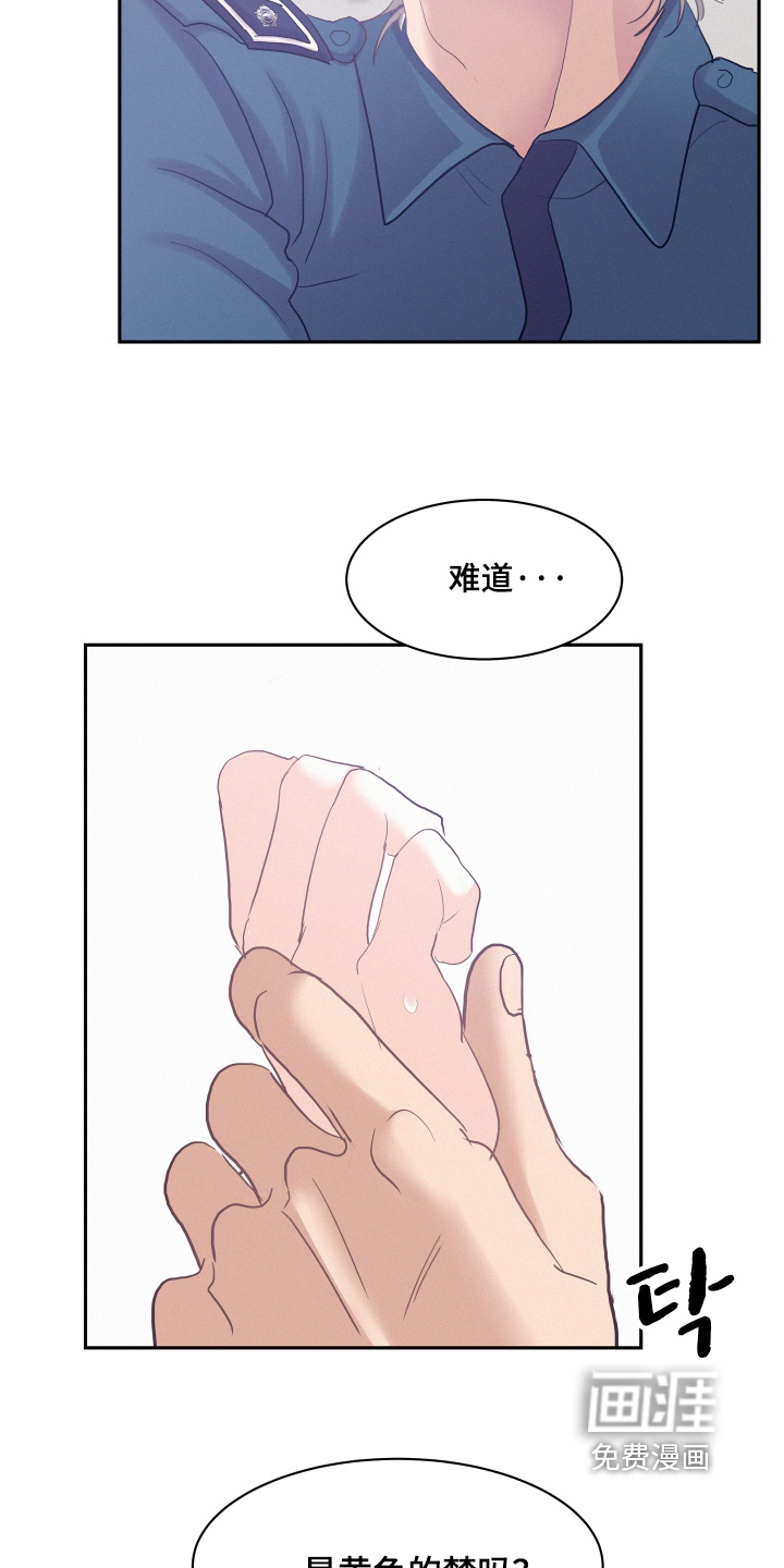 第208话13