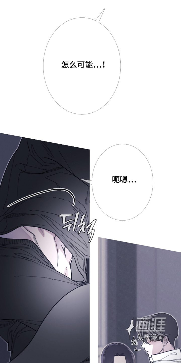 第230话6