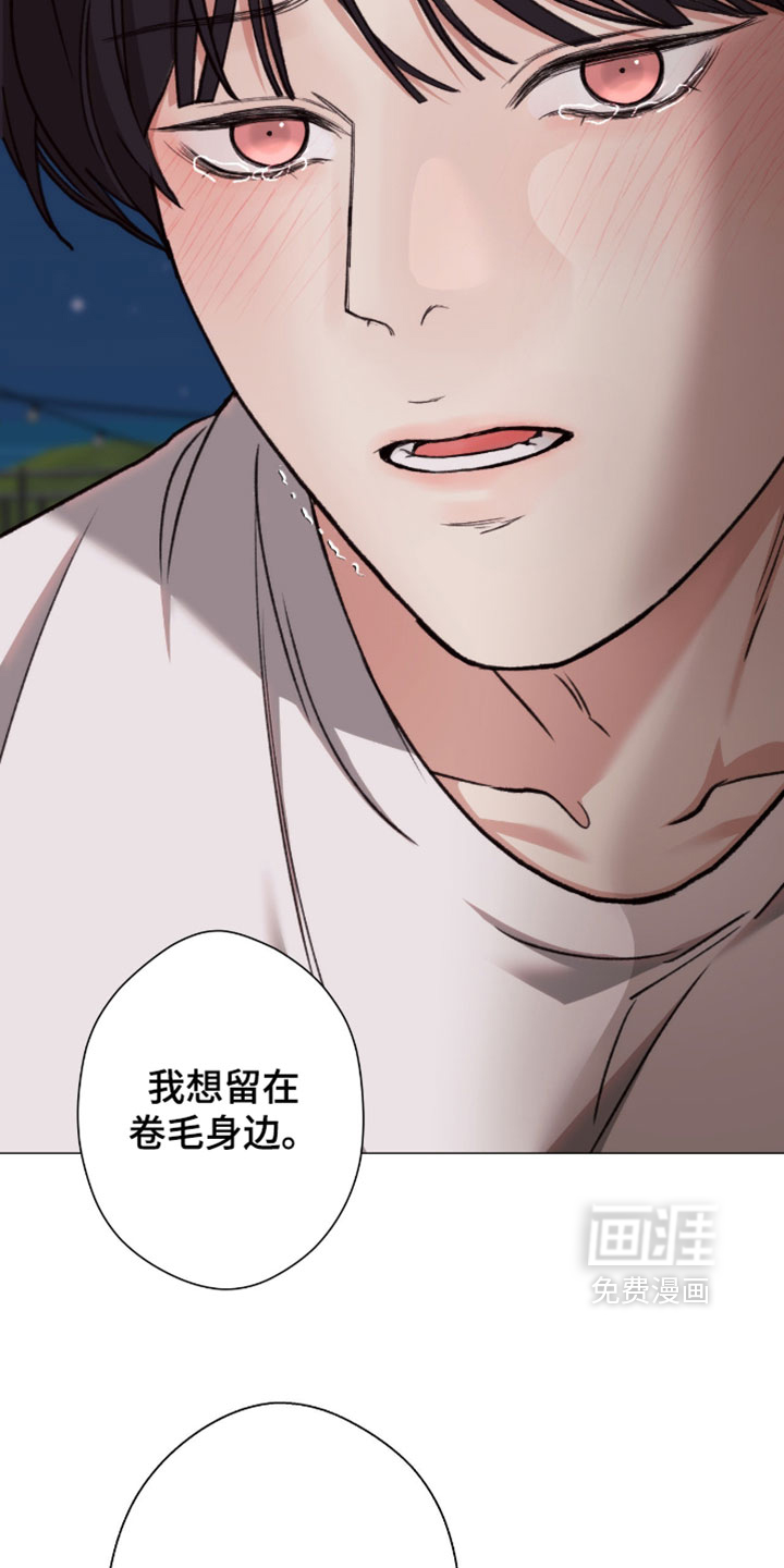 第115话29