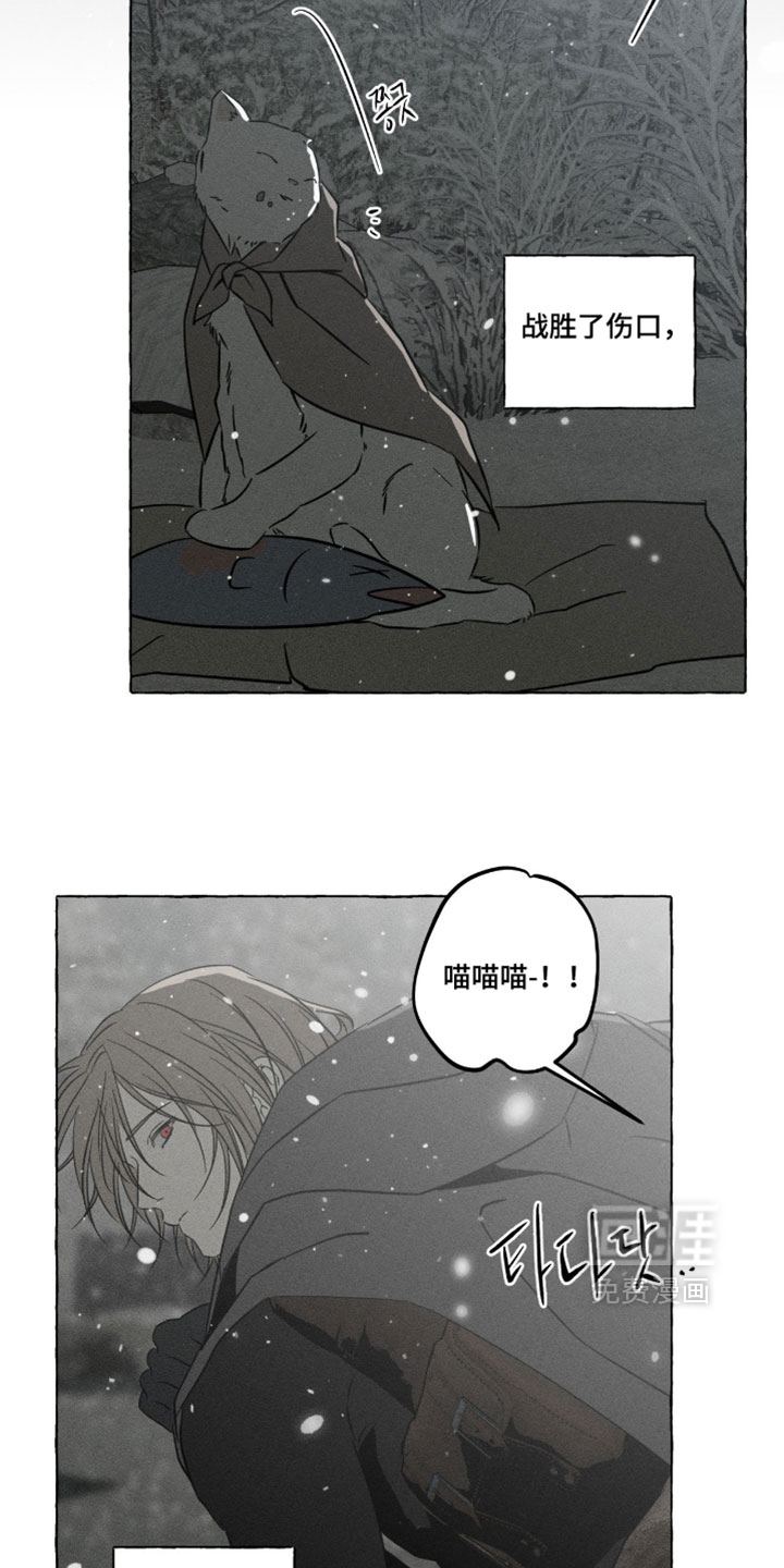 第155话36