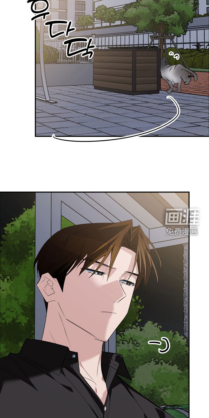 第54话19