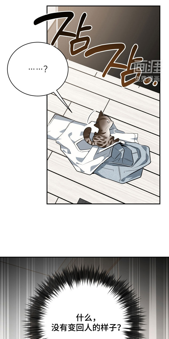 第54话3