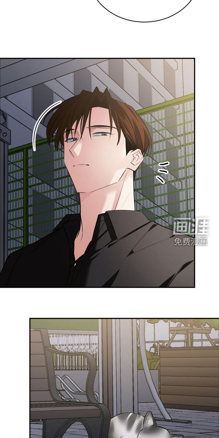 第54话17