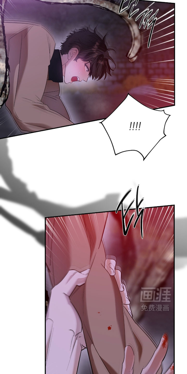 第176话13