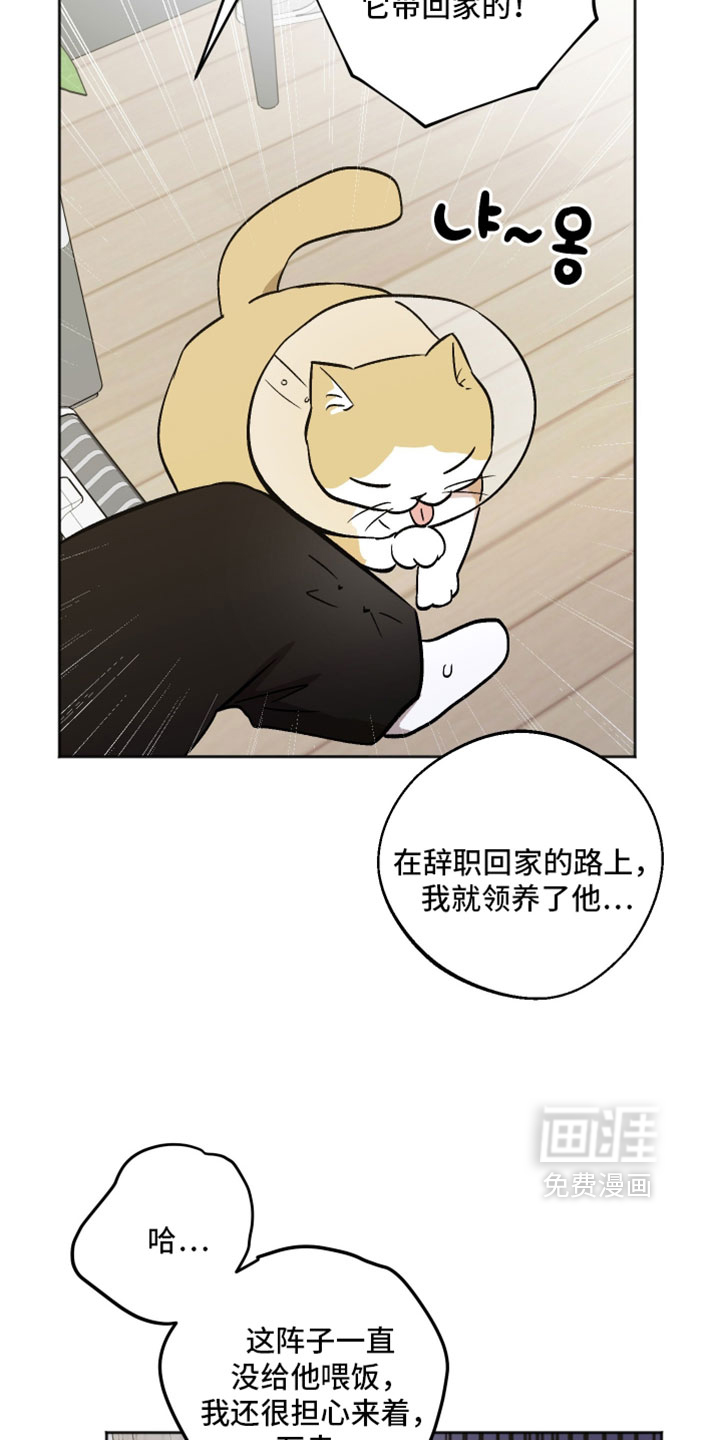 第76话 第14页
