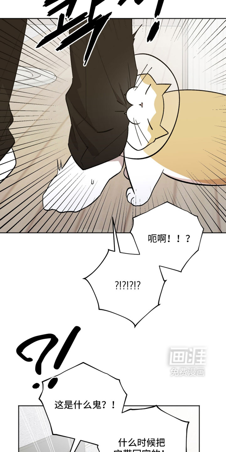 第76话 第13页