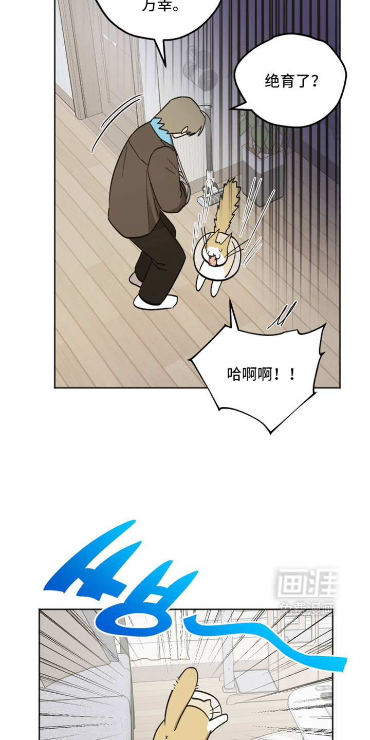 第76话 第15页