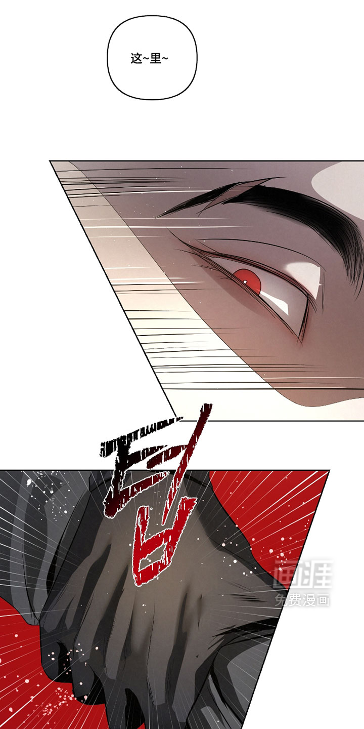 第117话5