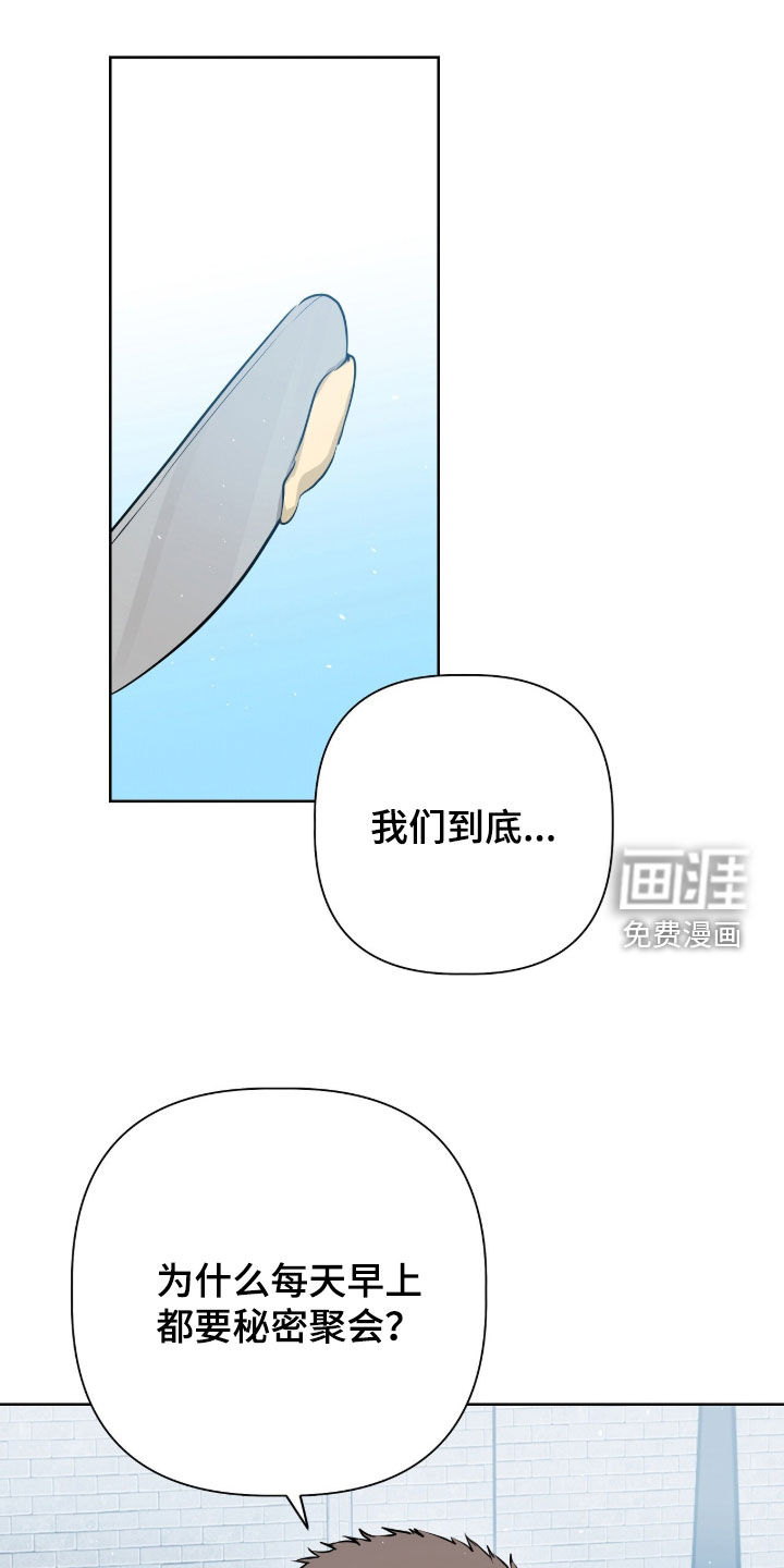 第81话0