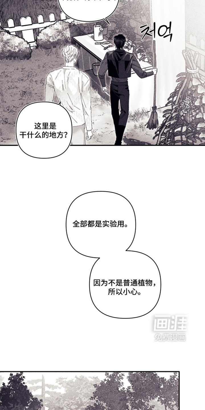 第58话 第17页