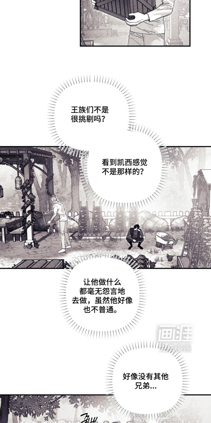 第58话 第19页