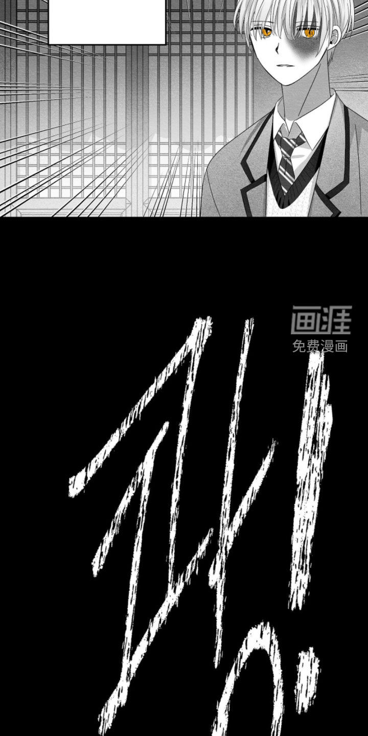 第121话19