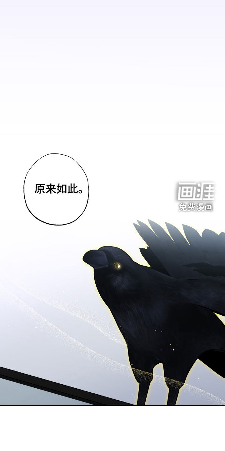第39话15