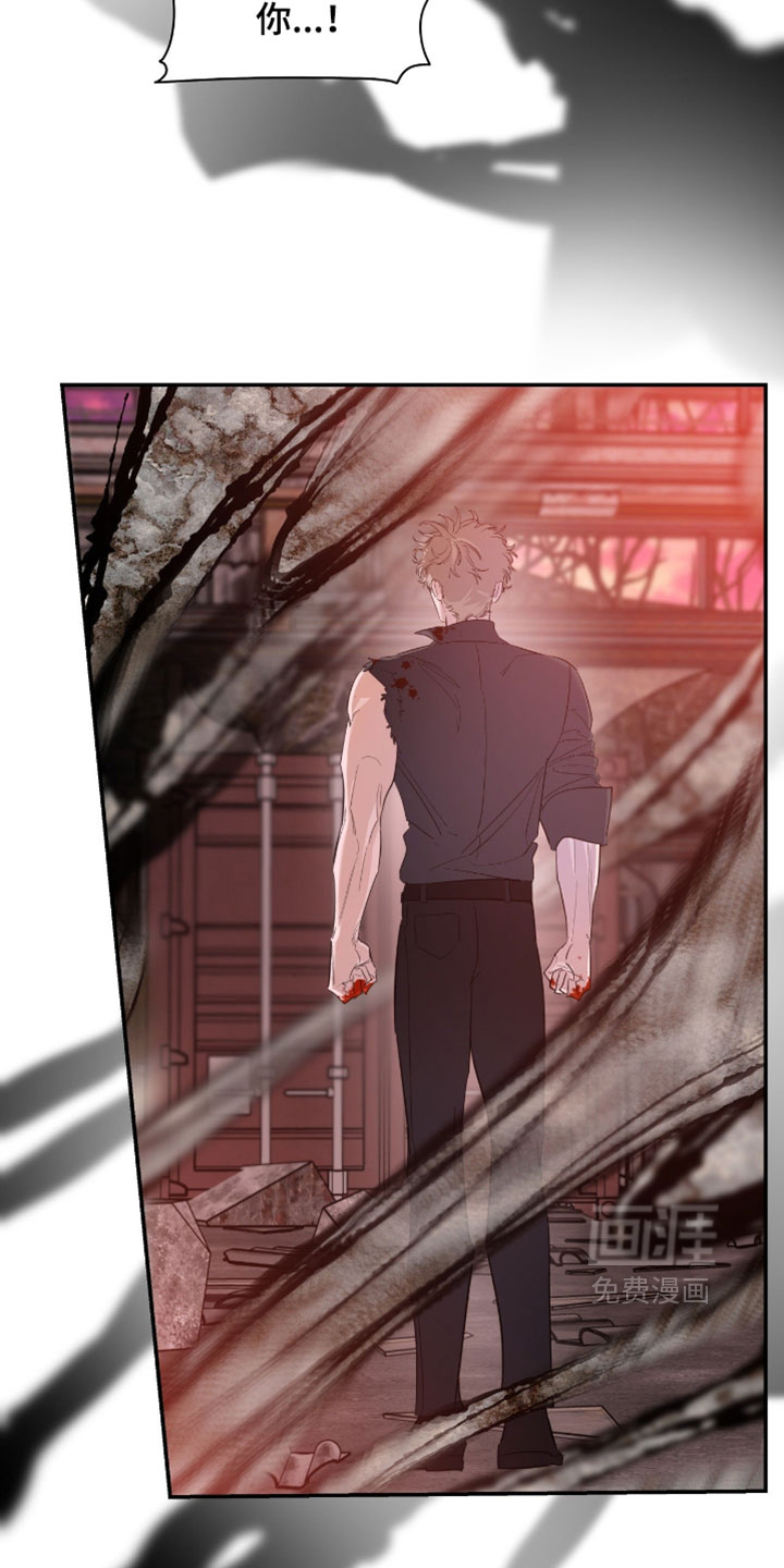 第180话33