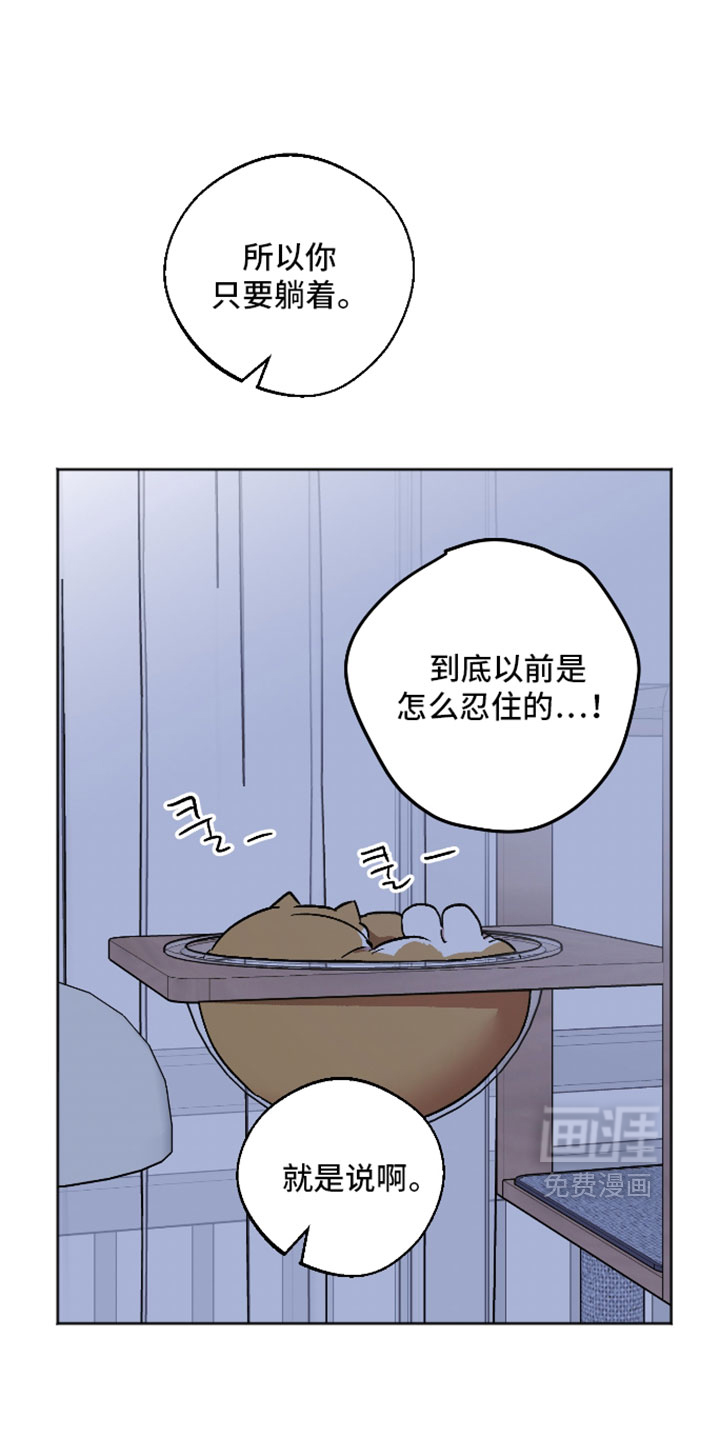 第81话 第22页