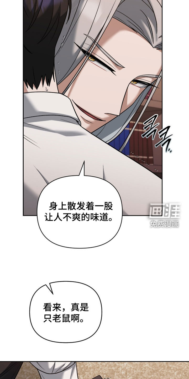 第28话29