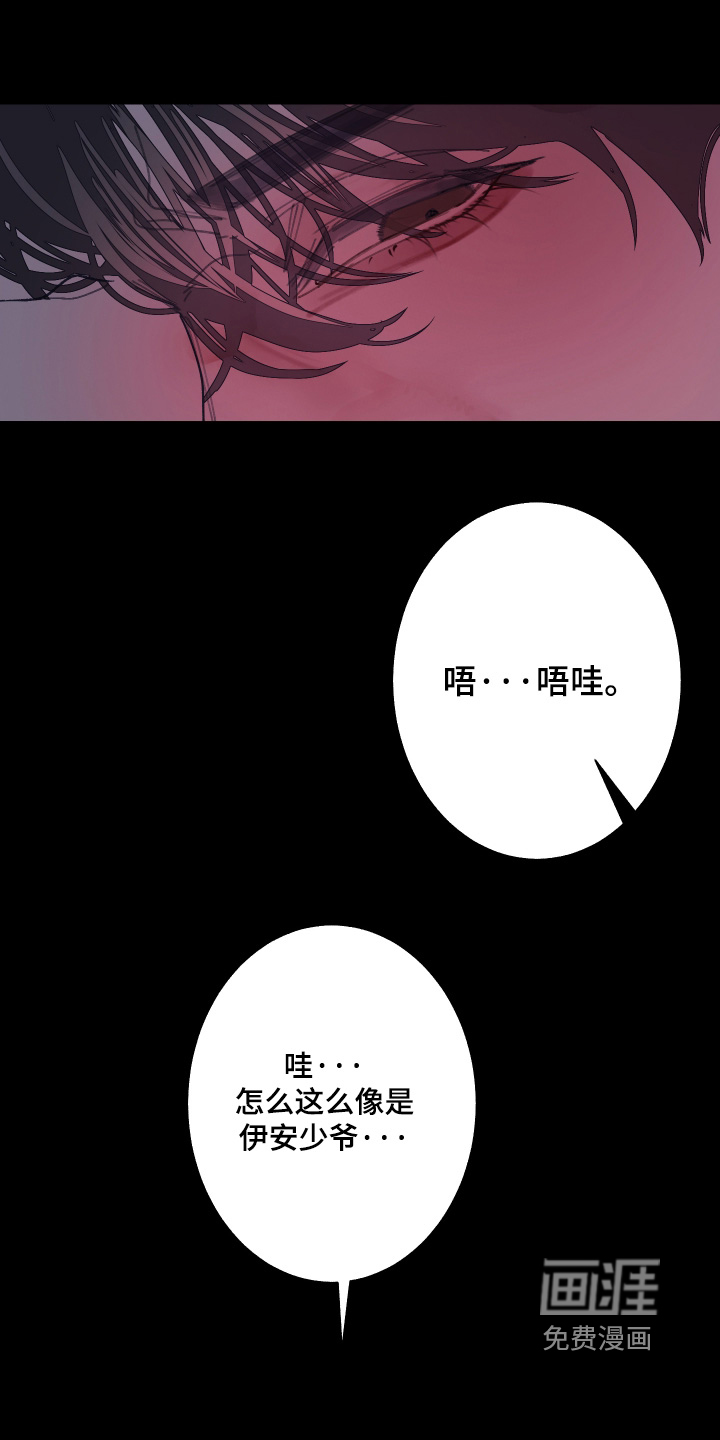 第239话12