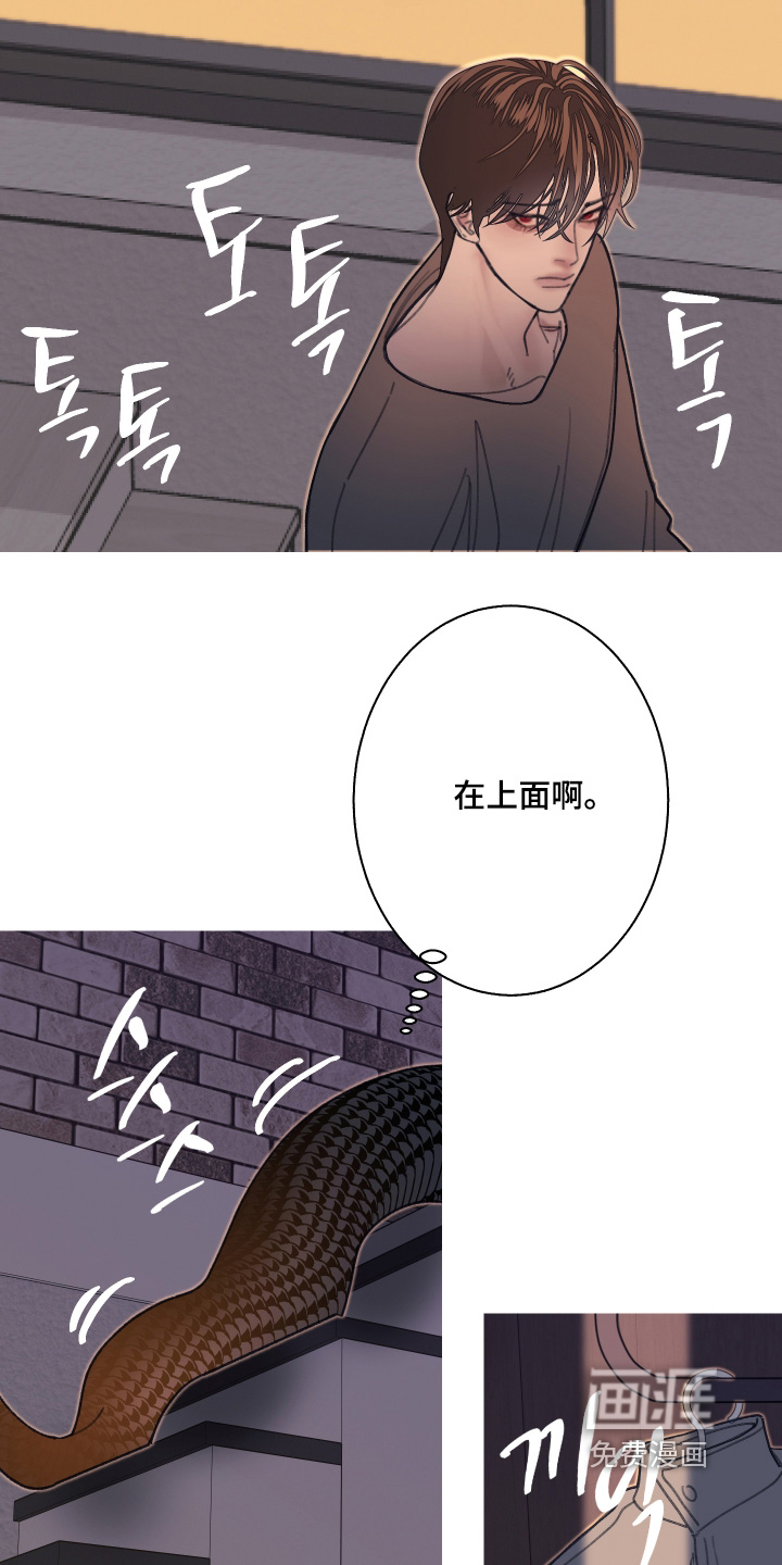 第238话13