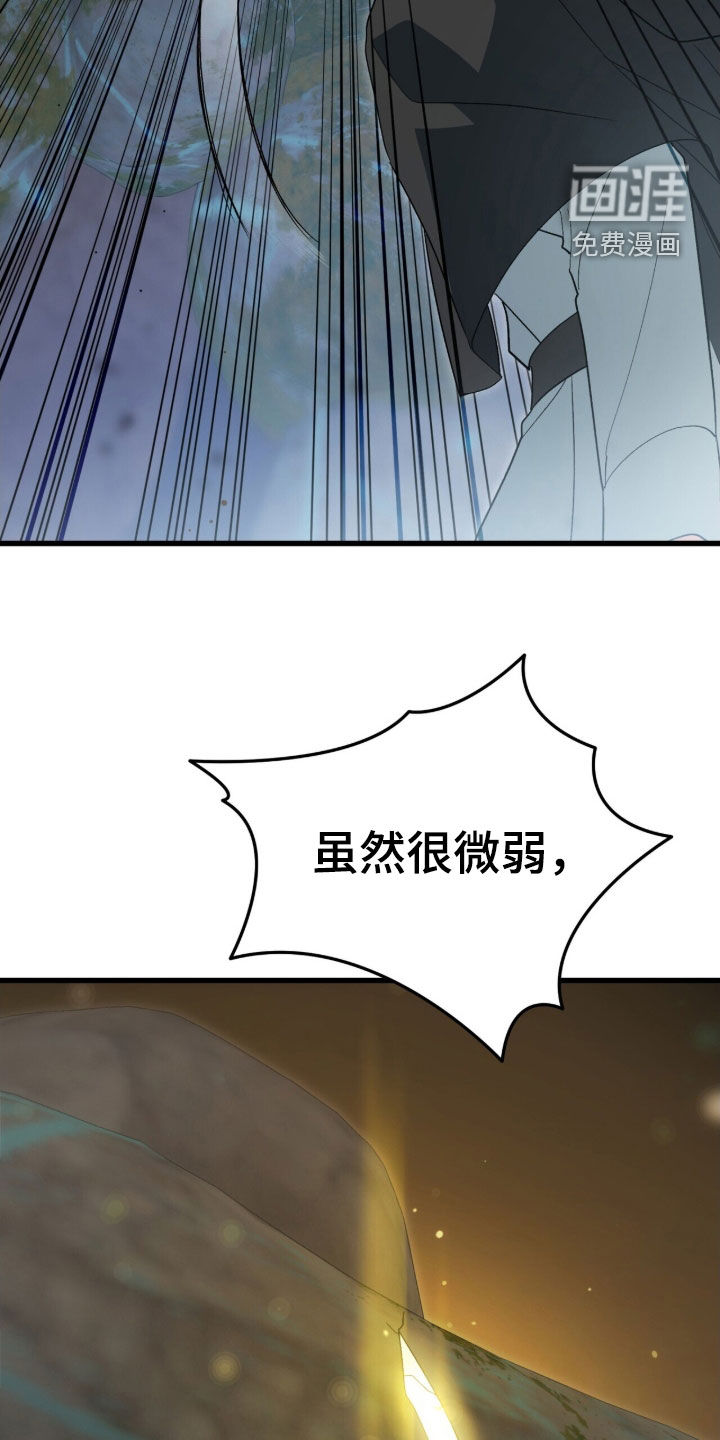 第79话 第13页