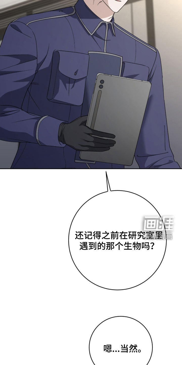 第81话 第31页