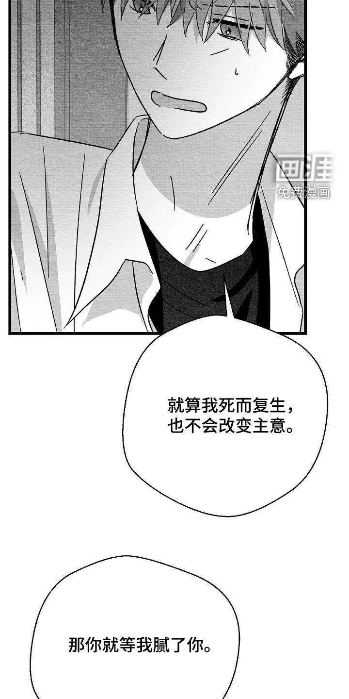 第132话24