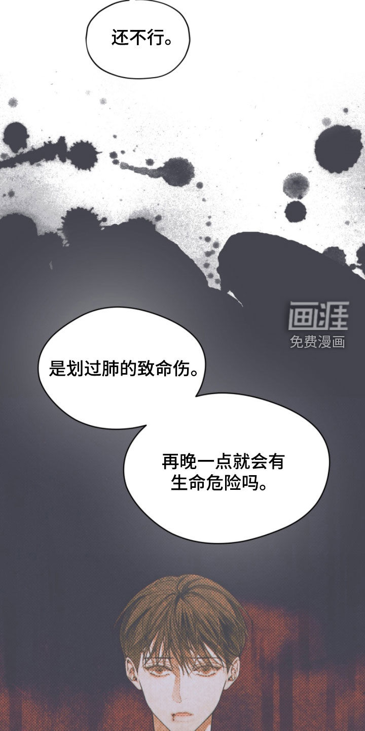 第250话13
