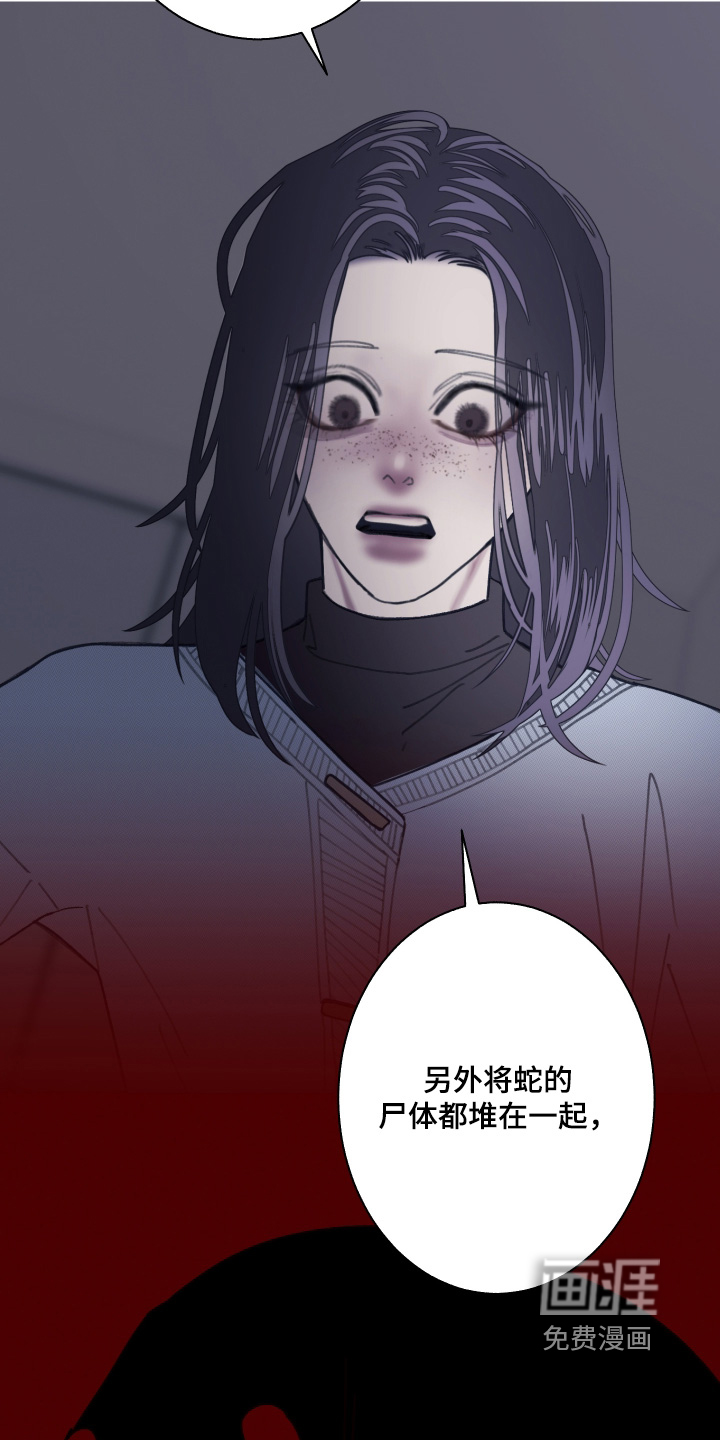 第241话13