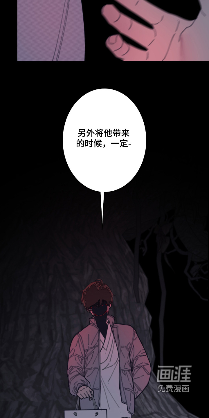 第241话1