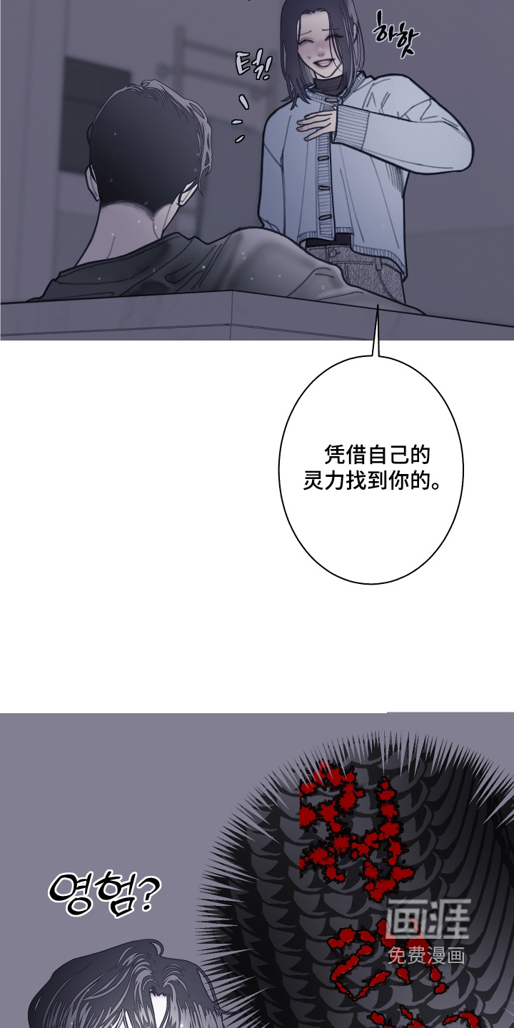 第240话5