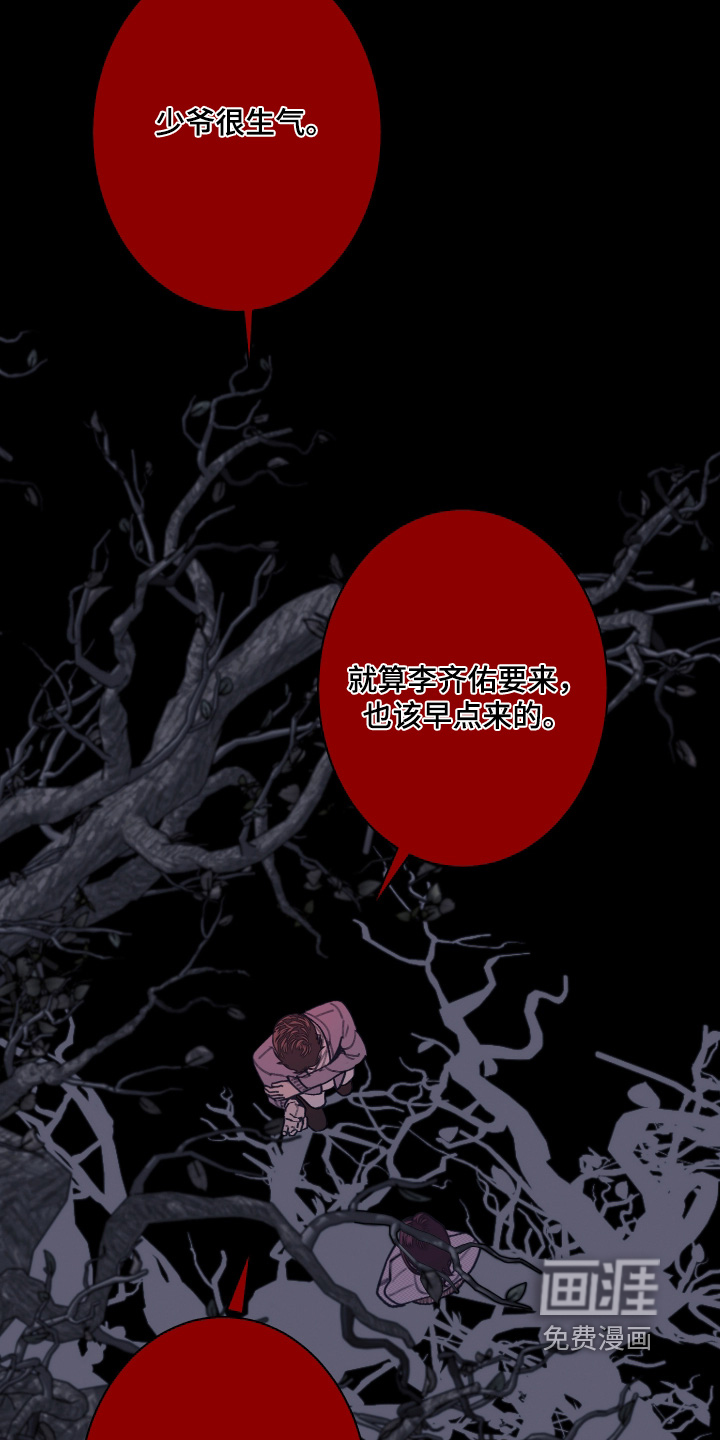 第240话12