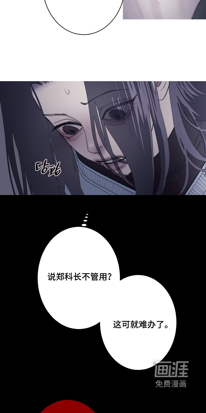 第240话11
