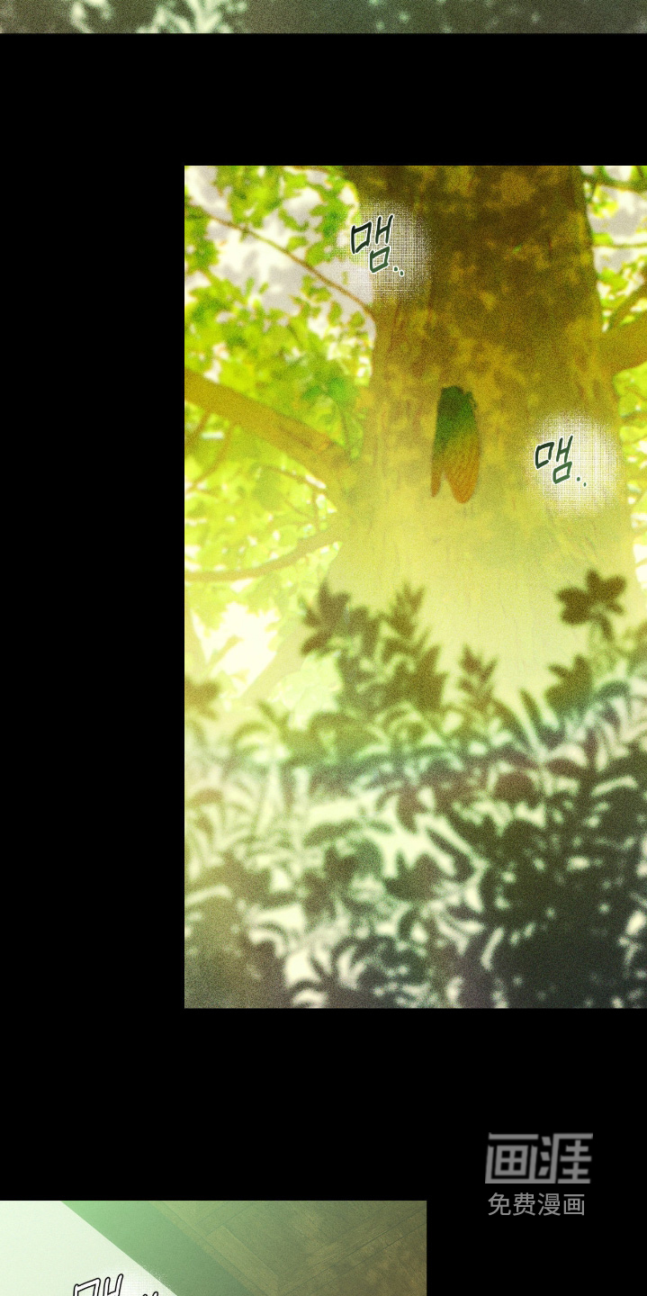 第60话8